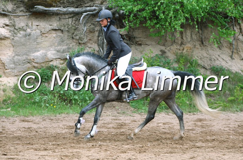 005L3762_Saphir_Springreiter WB_e.jpg